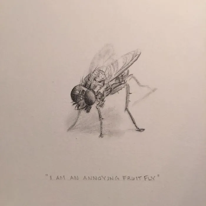 I Gave Up My Career To Raise A Family And To Stay Creative I Started Drawing Miniatures Every Day