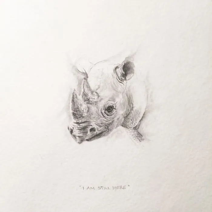 I Gave Up My Career To Raise A Family And To Stay Creative I Started Drawing Miniatures Every Day