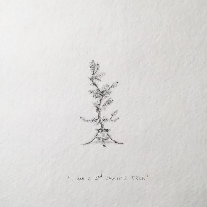 I Gave Up My Career To Raise A Family And To Stay Creative I Started Drawing Miniatures Every Day