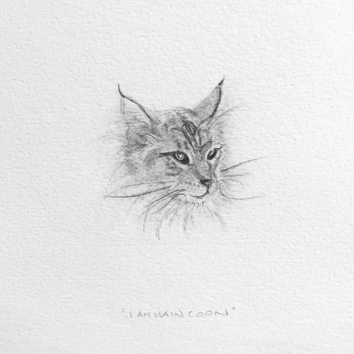I Gave Up My Career To Raise A Family And To Stay Creative I Started Drawing Miniatures Every Day