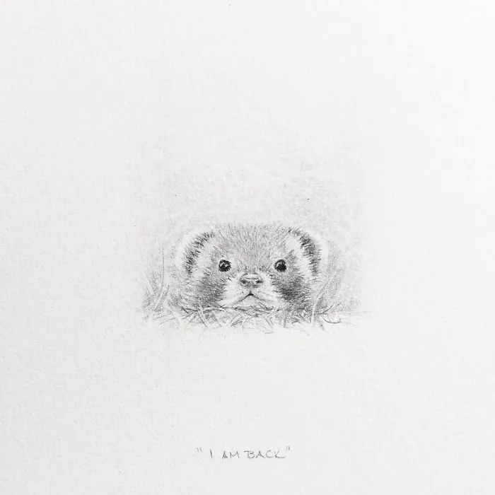 I Gave Up My Career To Raise A Family And To Stay Creative I Started Drawing Miniatures Every Day