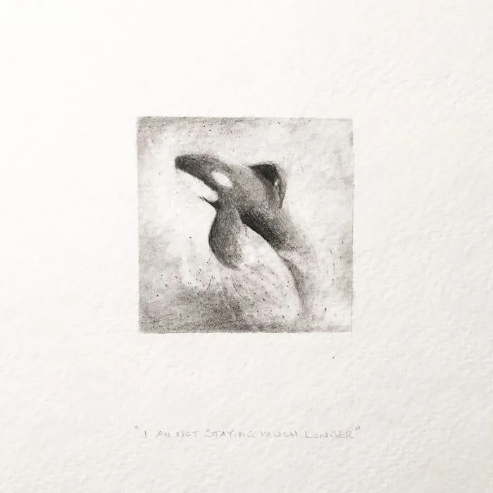 I Gave Up My Career To Raise A Family And To Stay Creative I Started Drawing Miniatures Every Day