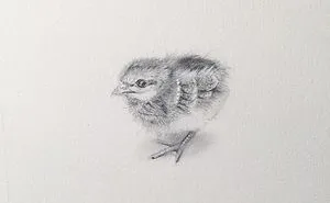 I Gave Up My Career To Raise A Family And To Stay Creative I Started Drawing Miniatures Every Day