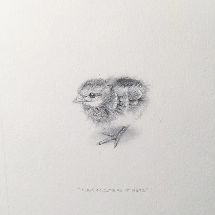 I Gave Up My Career To Raise A Family And To Stay Creative I Started Drawing Miniatures Every Day