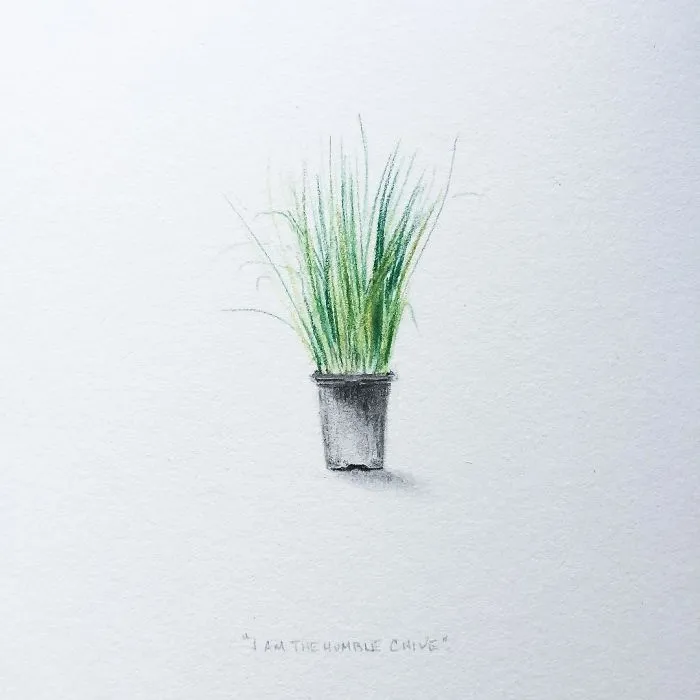 I Gave Up My Career To Raise A Family And To Stay Creative I Started Drawing Miniatures Every Day