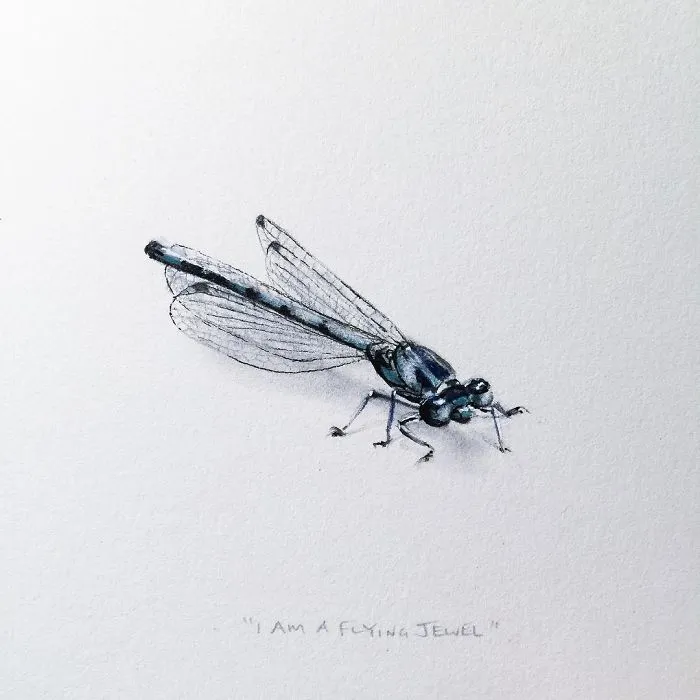 I Gave Up My Career To Raise A Family And To Stay Creative I Started Drawing Miniatures Every Day
