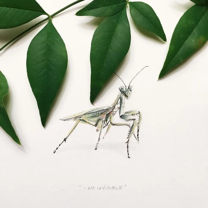 I Gave Up My Career To Raise A Family And To Stay Creative I Started Drawing Miniatures Every Day