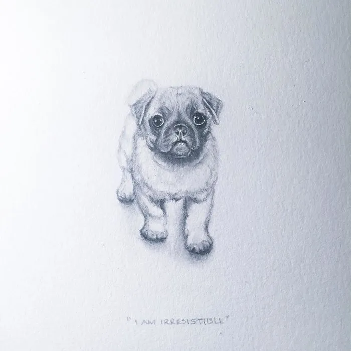I Gave Up My Career To Raise A Family And To Stay Creative I Started Drawing Miniatures Every Day