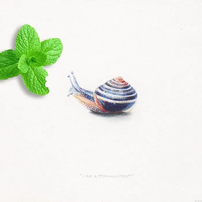 I Gave Up My Career To Raise A Family And To Stay Creative I Started Drawing Miniatures Every Day