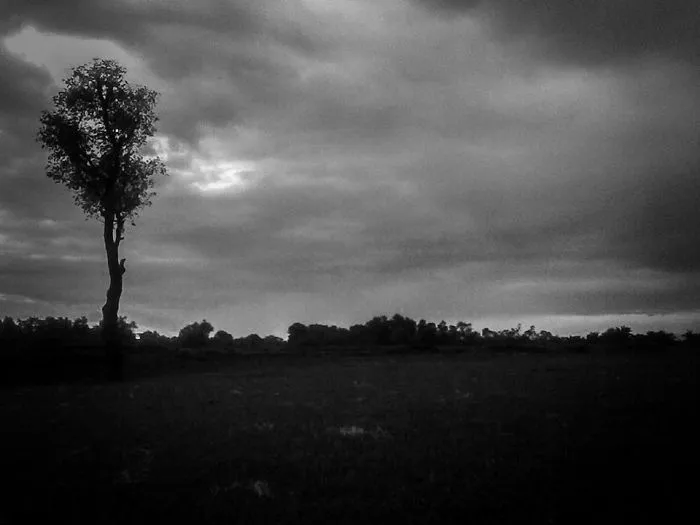 6 B&w Photos I Took With Ordinary Mobiles