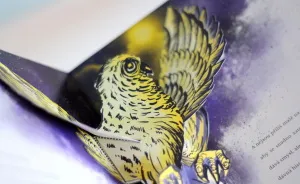 The Lemon Granny, Pop-up Book