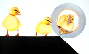 The Future Of Edward The Duck - Caught In Oil Paintings