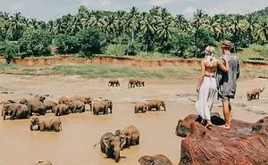 This Instagram Will Make You Rethink Your Life Goals