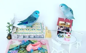 Visit Chicken And Stan's Tiny World