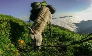 We Have Traveled 12 Untouched Places In Lesser Caucasus To Create Extraordinary Itineraries