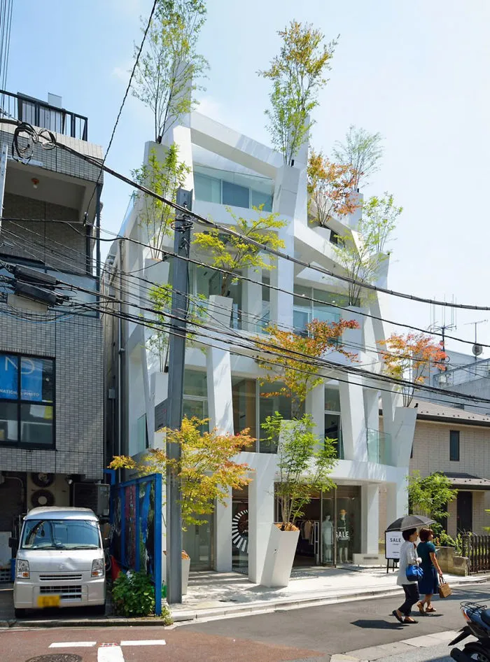 Omotesando Branches In Tokyo
