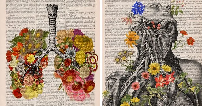 Floral Anatomical Illustrations Breathe New Life Into Old Discarded Books