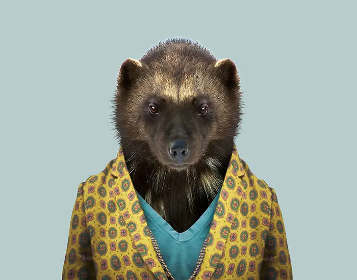 Wolverine