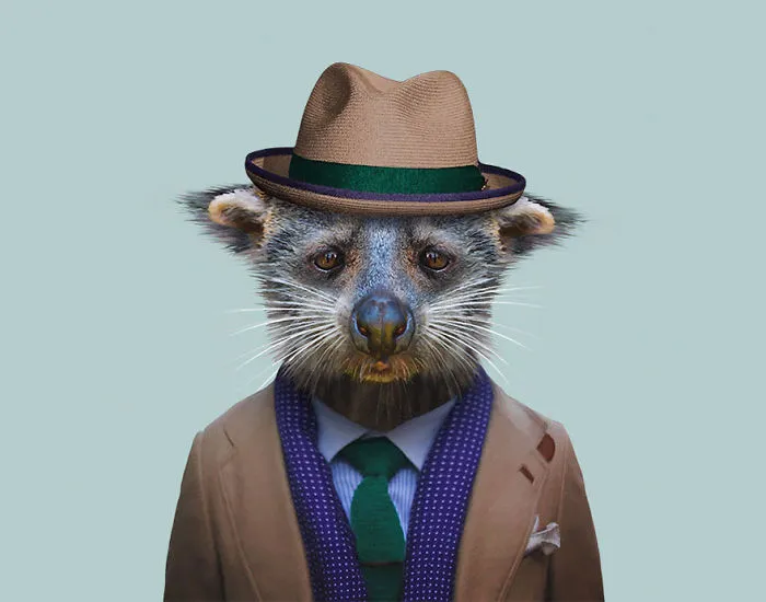 Binturong