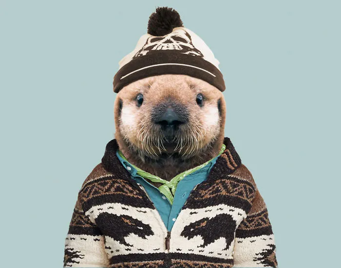 Sea Otter (Pup)