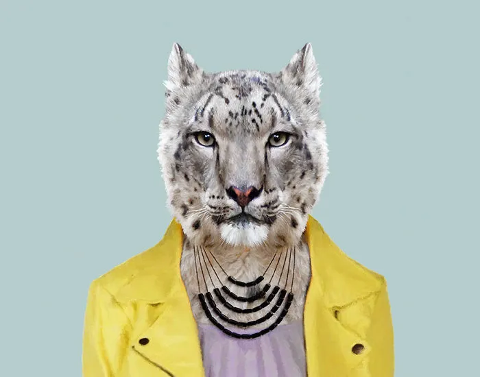 Snow Leopard