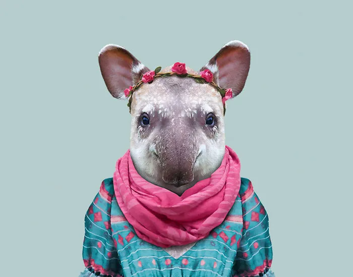 South American Tapir (Calf)