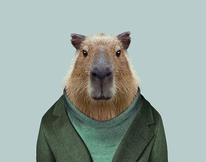 Capybara