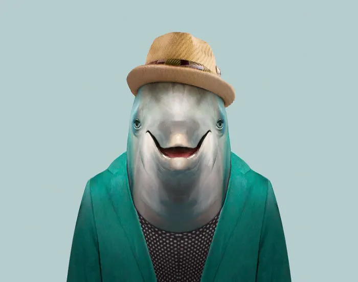 Bottlenose Dolphin