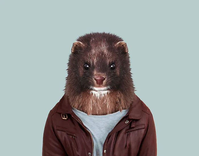 European Mink