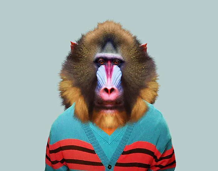 Mandrill