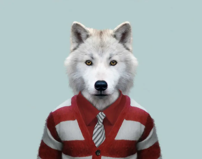 Arctic Wolf