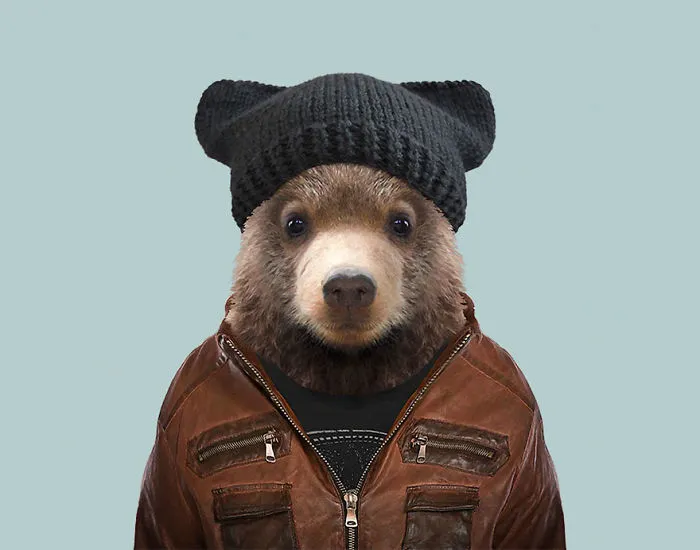 Kodiak Bear (Cub)