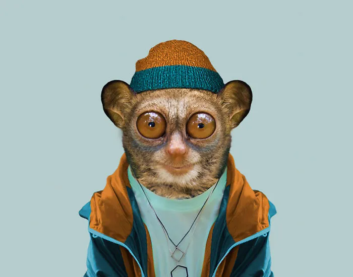 Philippine Tarsier