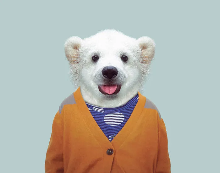 Polar Bear (Cub)