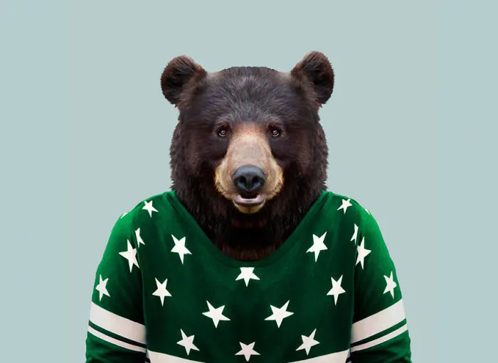 Asian Black Bear