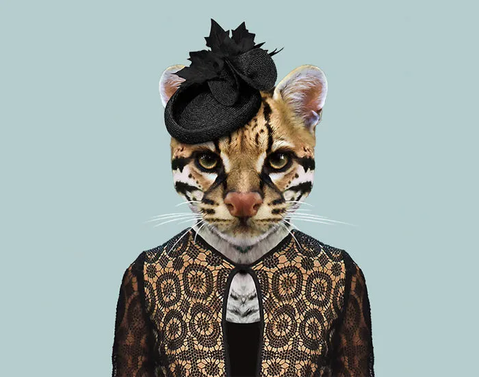Ocelot