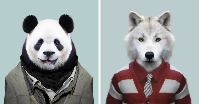 This Artist Spent 3 Years 'Dressing' Zoo Animals Like Humans And The Clothes Fit Unbelievably Well