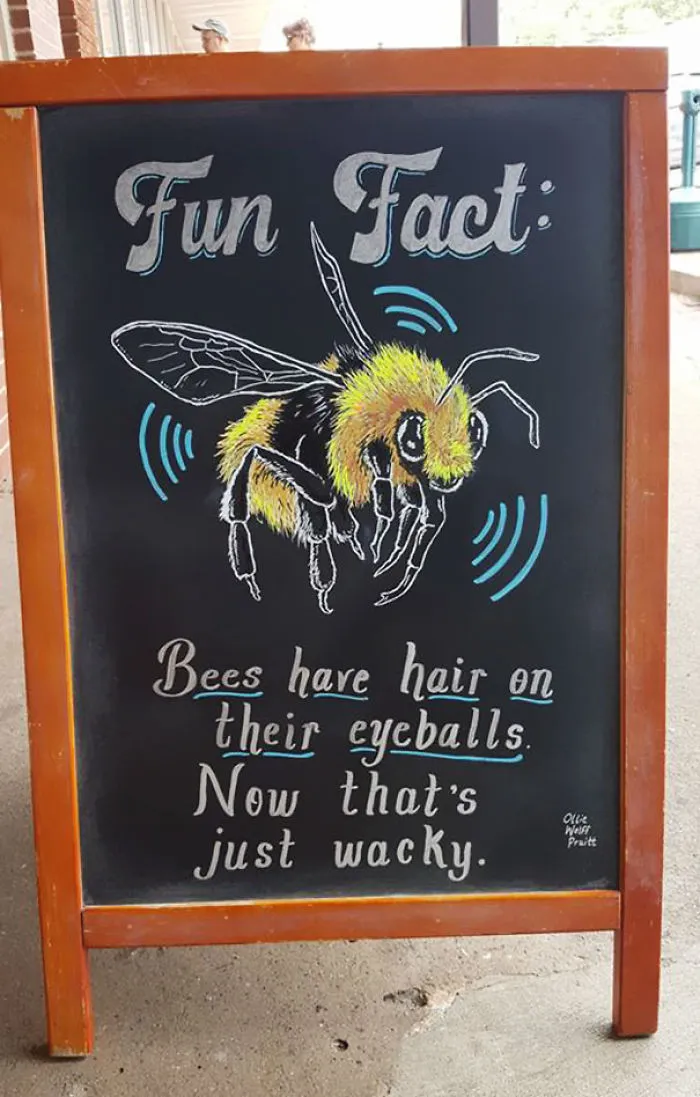 Woman Helped Friend's Bar By Drawing Chalk Signs, The Result Was So Good It Increased The Sales