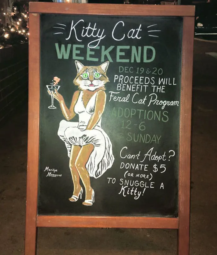 Woman Helped Friend's Bar By Drawing Chalk Signs, The Result Was So Good It Increased The Sales