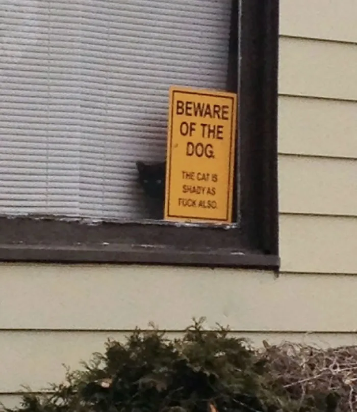 47 Dangerous Dogs Behind Beware Of Dog" Signs"