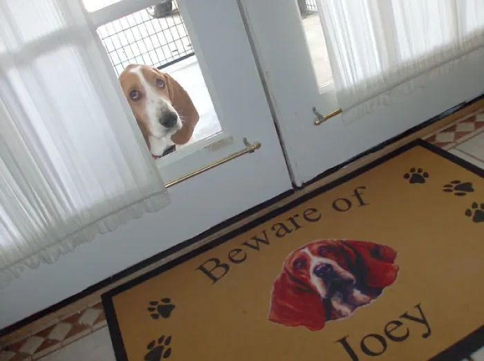 47 Dangerous Dogs Behind Beware Of Dog" Signs"