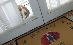 47 Dangerous Dogs Behind Beware Of Dog" Signs"