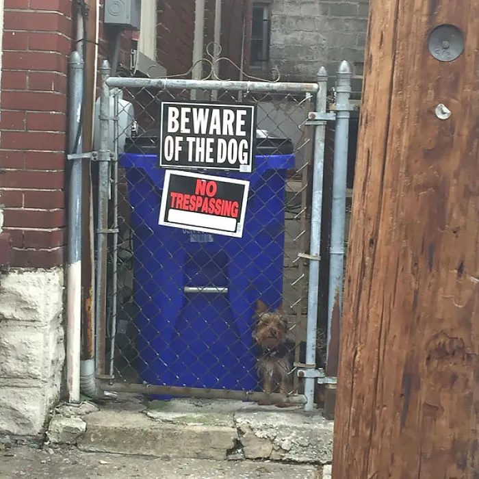 47 Dangerous Dogs Behind Beware Of Dog" Signs"