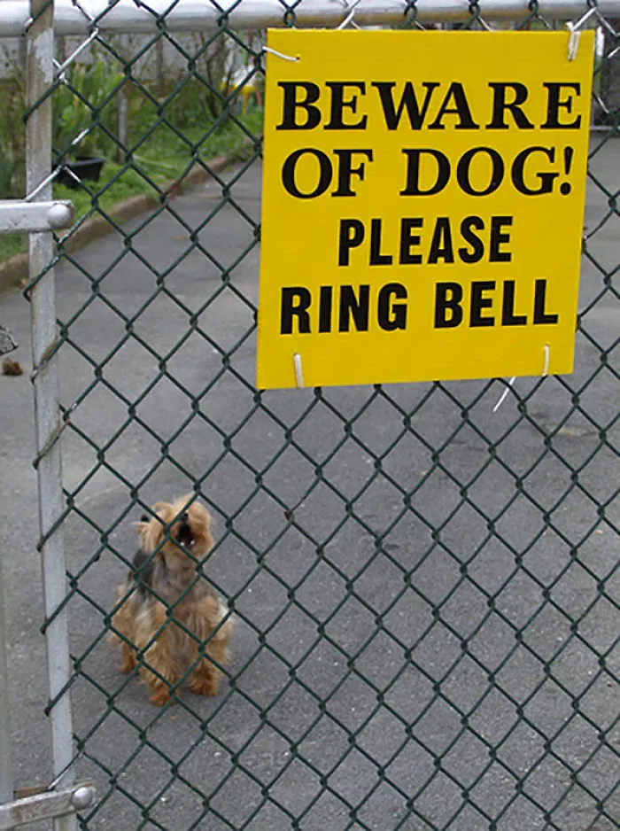 47 Dangerous Dogs Behind Beware Of Dog" Signs"