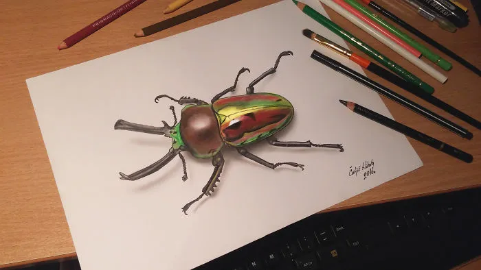 3d Rainbow Stag Beetle