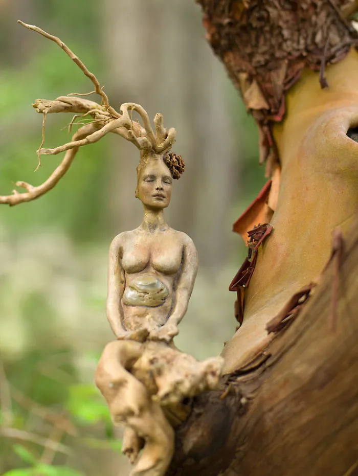 162 Stunning Driftwood Sculptures By Debra Bernier Tell The Forgotten Stories Of The Ocean