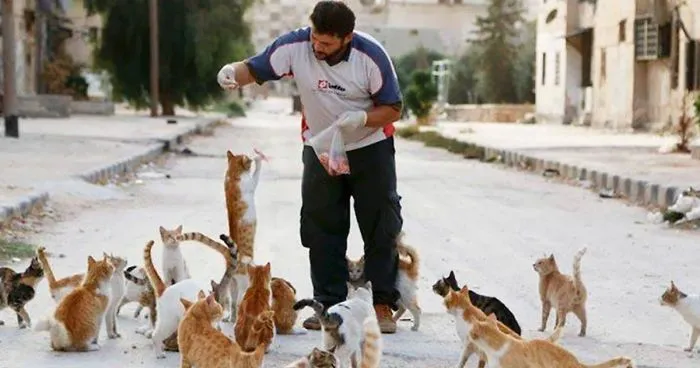 People Are Fleeing War-Torn Aleppo But This Man Is Staying To Care For Abandoned Cats