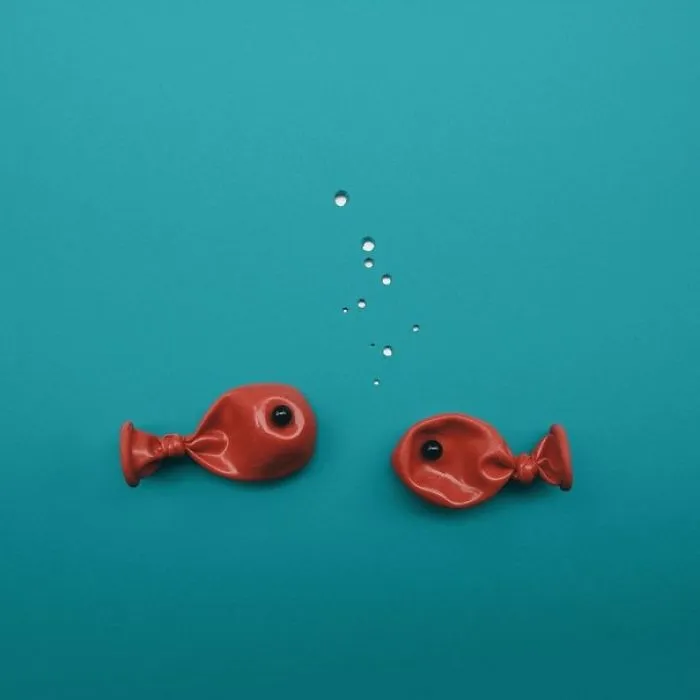 Artist Uses Everyday Objects To Create Powerful Arrangements In An Ode To Turquoise