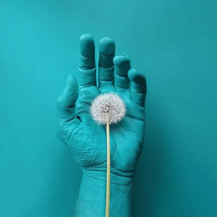Artist Uses Everyday Objects To Create Powerful Arrangements In An Ode To Turquoise