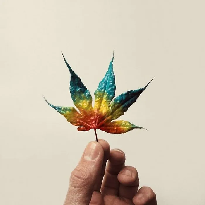 Artist Uses Everyday Objects To Create Powerful Arrangements In An Ode To Turquoise